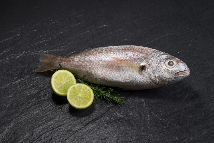 Axillary Seabream (Pagellus acarne) supplied wholesale by Gialmar