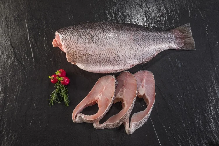 Nile Perch (Lates niloticus) supplied wholesale by Gialmar