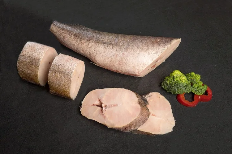 Fresh hake fish on ice
