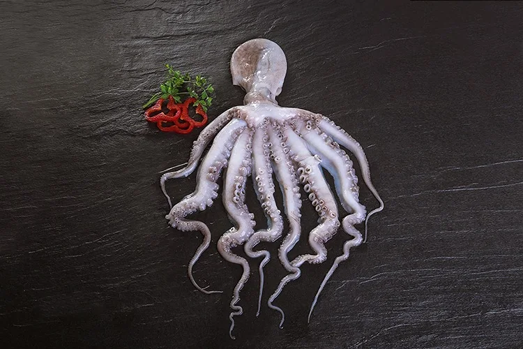 Pulpo congelado listo para cocer