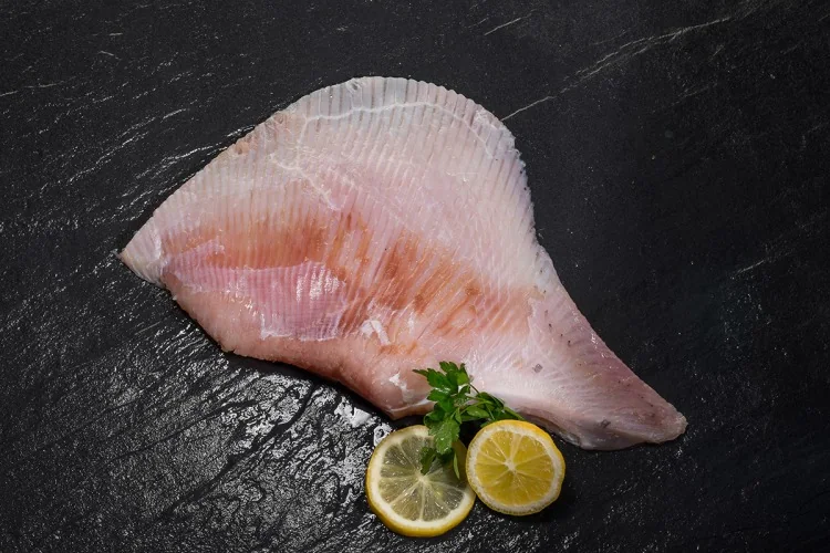Skate (Raja spp.) supplied wholesale by Gialmar