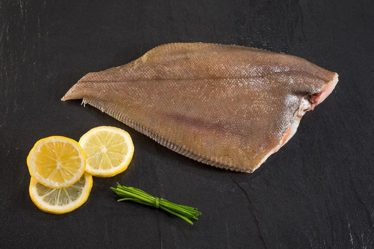 Plaice and Flounder (Limanda ferruginea, Hippoglossoides platessoides) supplied wholesale by Gialmar
